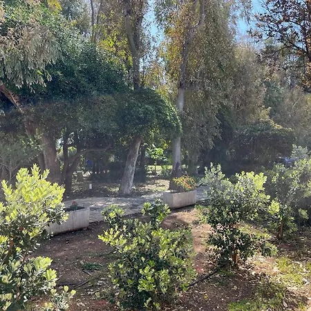 Eucalipti Sul Mare *